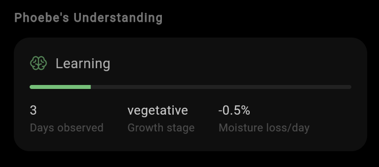 Phoebe's Understanding panel showing Learning status, 3 days observed, vegetative growth stage, -0.5% moisture loss per day
