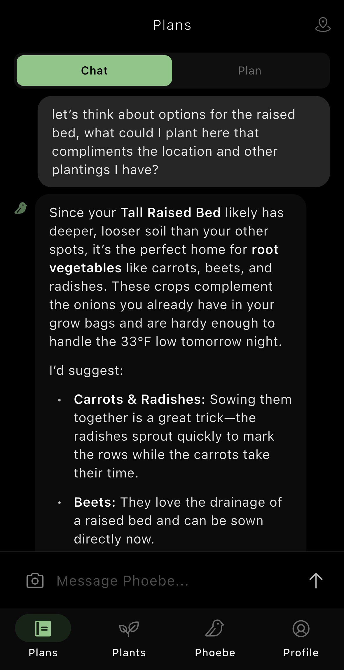 Plans tab Chat mode showing Phoebe suggesting root vegetables for a raised bed