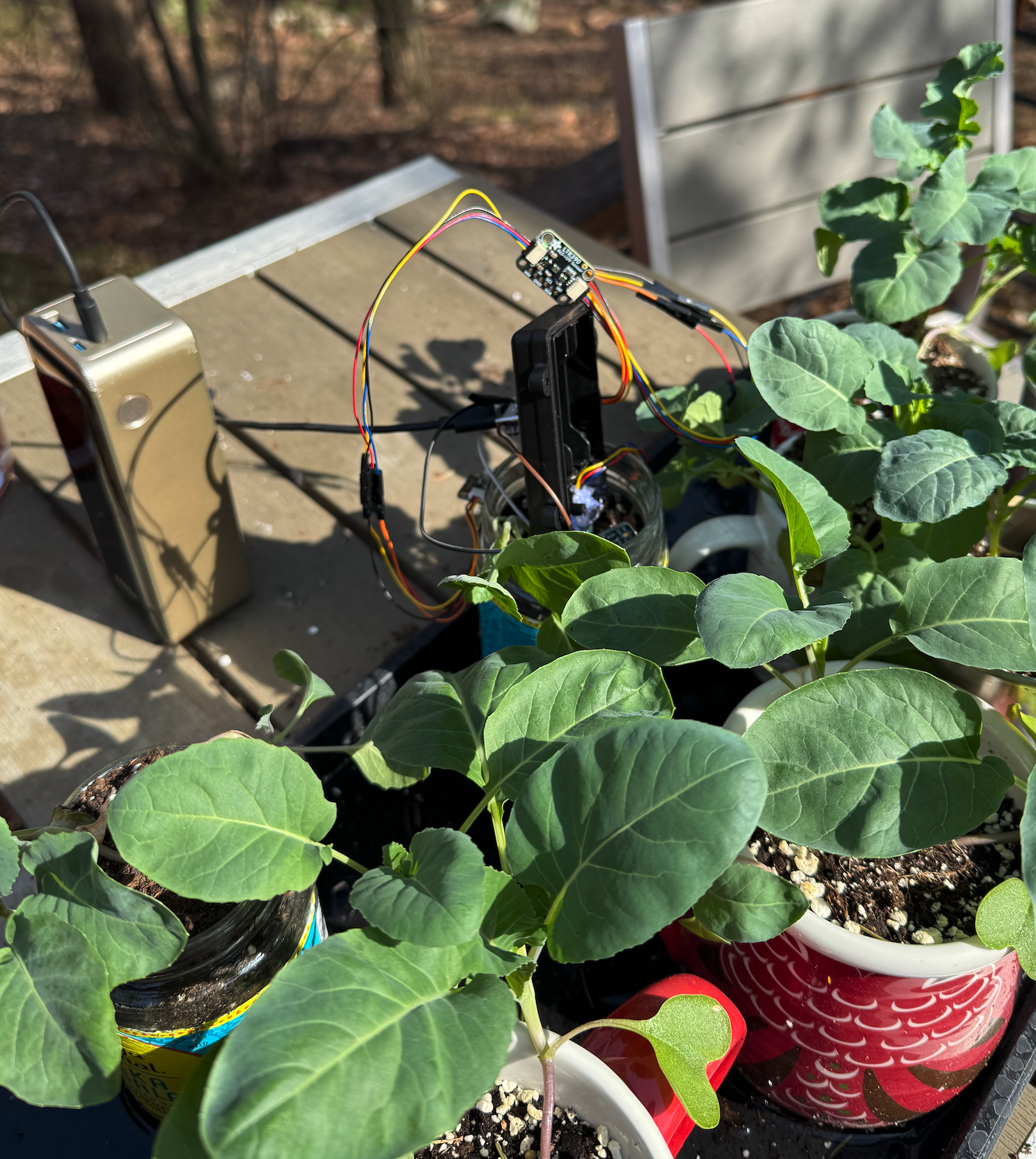 Alert Auk prototype deployed outside among potted seedlings, wires running to breakout boards